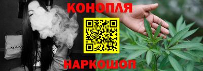 стаф Новозыбков