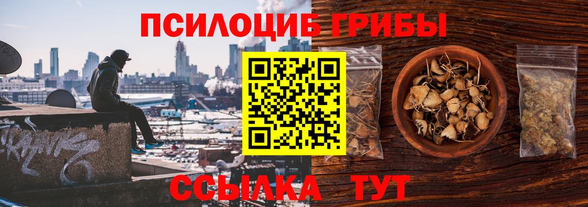 Чайковский  Псилоцибиновые грибы Cubensis  Псилоцибиновые грибы Psilocybine cubensis  Вход с VPN 